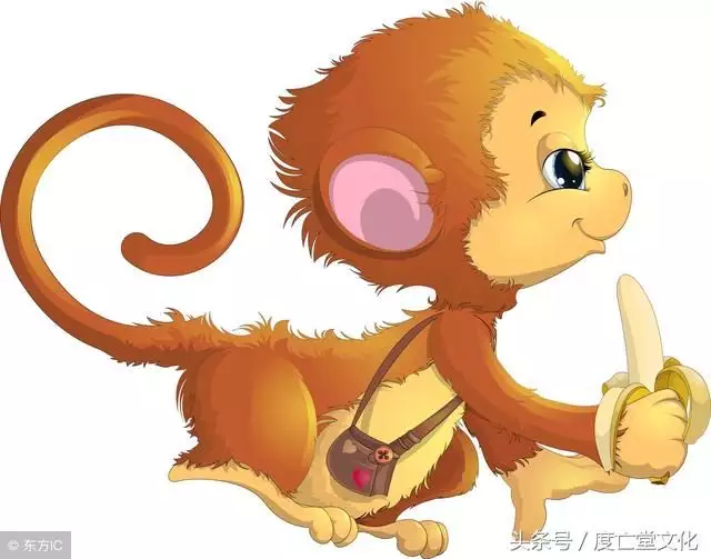 男猴與什麼屬相相配好：屬猴男和什麼屬相最配
