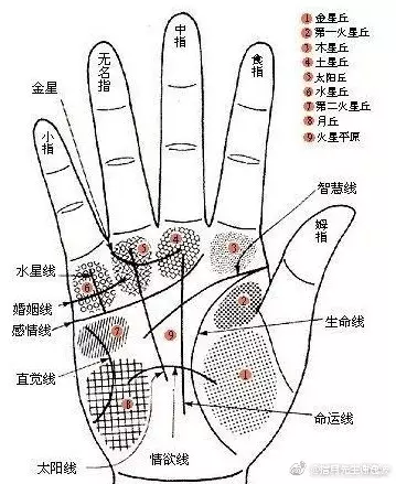 2、手相圖解怎麼看:掌紋看一生圖