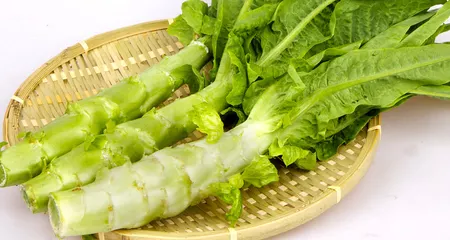 男99女00生孩子屬相：年屬兔的男性和的女性的運氣