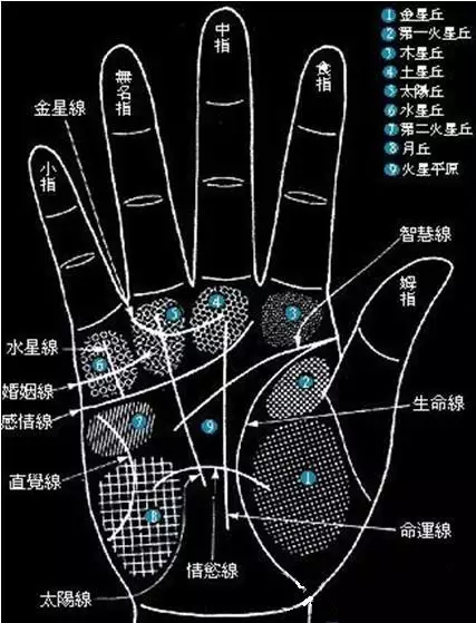 3、手指紋路十斗十簸的婚配:手指上的“簸箕”和“斗”的意思是什麼？