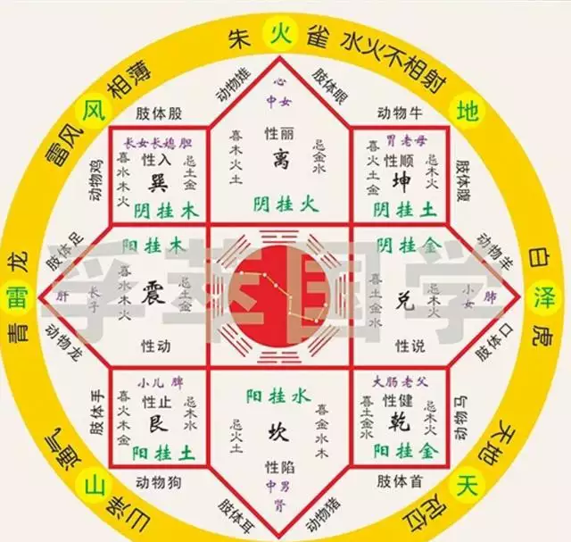 生辰屬相八字五行查詢：生辰八字五行查詢表