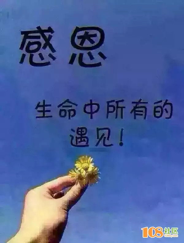 3、命中註定的緣分:真的會有命中註定的緣分嗎