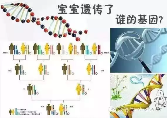 2、憑證生物進化論，有優良基因的人更易順應環境，而其他人對環境的順應力較差，這是否說明是準確的？