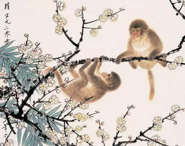 2、年猴晚年命運:年屬猴人的命運是不是很差