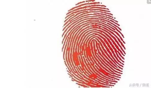6、女人十個簸箕是鳳命:女人十個指全是簸箕是什麼意思