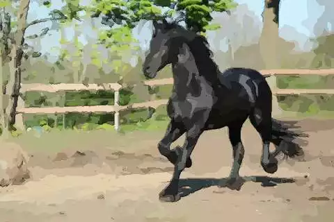 什麼屬相家裡適合擺馬：家裡擺馬有什麼講究