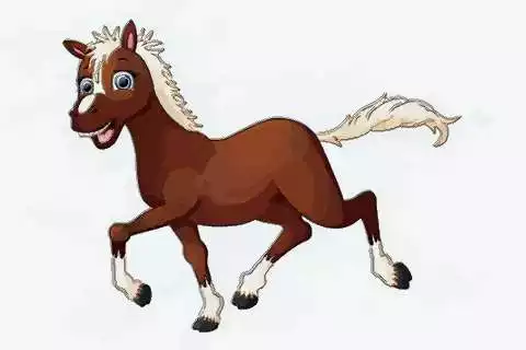3、明天後天屬馬的運勢:屬馬的人運勢怎麼樣啊