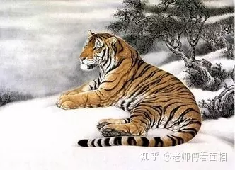 2、生肖虎與什麼生肖相刑:屬虎和什麼屬相相剋
