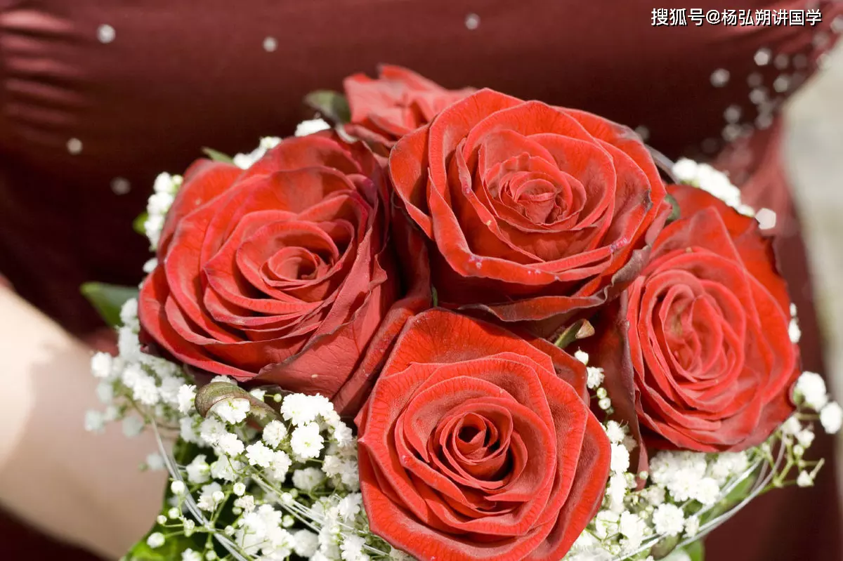 3、猴狗婚配什麼屬相好:女屬狗的男屬猴的婚配表
