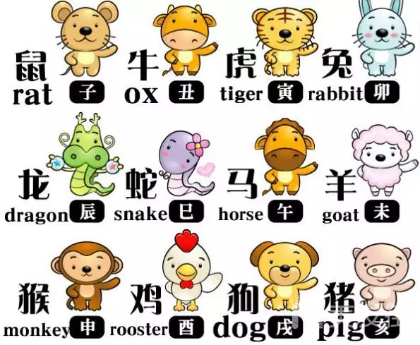 生肖屬相是還是科學：十二生肖是還是科學