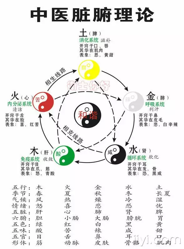 年份屬相表對應的金木水火土：五行:金木水火土的詳細年份是什麼