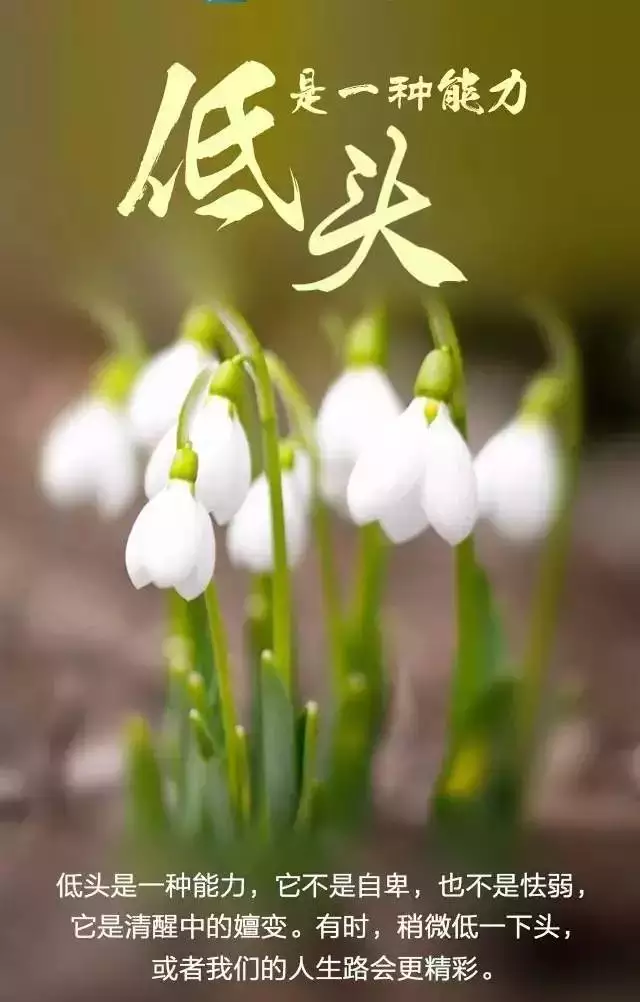 1、怎麼能讓自己的運氣好起來:怎樣才可以讓自己轉運？