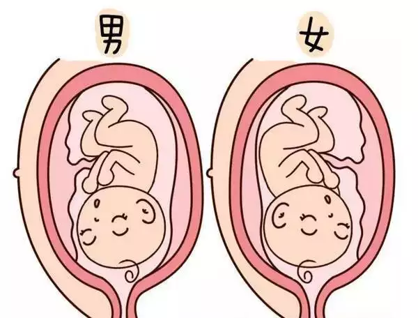 2、備孕1年了，想生兒子需要多吃什麼？有哪些辦法比較好呢？現在用什麼方法？