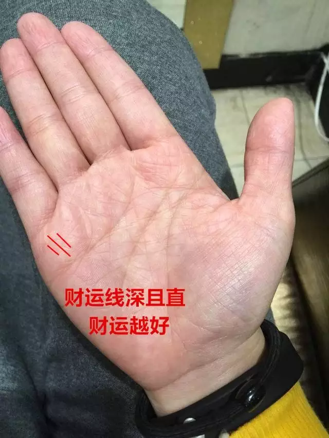 4、有兒子命的手相:看手相我這輩子會有幾個孩子，命是不是很坎坷？