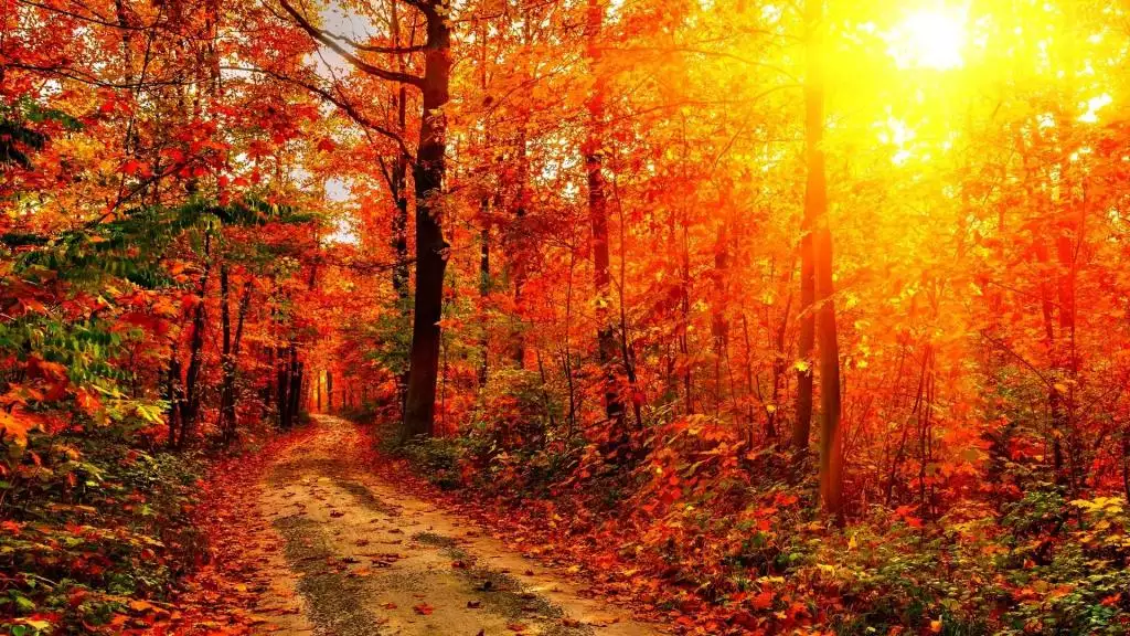 3、為什麼領紅包運氣一直很差:領取微信紅包是靠運氣還是發紅包的人設定的金額