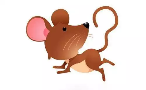 3、屬兔的和屬鼠的婚配合適嗎:屬兔和屬鼠的人會相衝嗎？