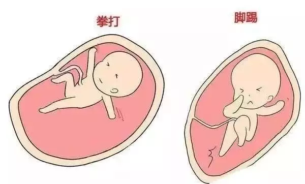 2、成功懷男孩的細節經驗:生兒子的經驗是什麼？