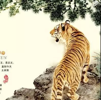 2、屬虎男容易出軌的年齡:屬虎男人人出軌的表現有哪些