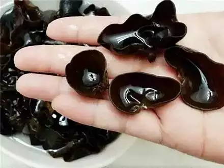 怎麼判斷身上有臟東西：和你睡的表現