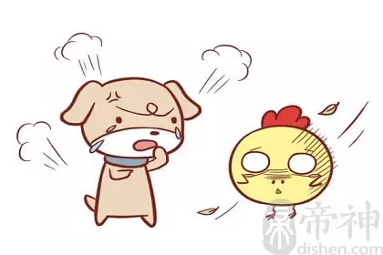 1、屬相+++豬和狗的婚配:屬相是狗的不能和什麼屬相的在一起
