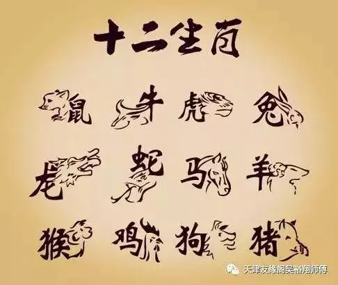 十二生肖相衝相剋表生肖屬相婚配：十二生肖屬性相剋表