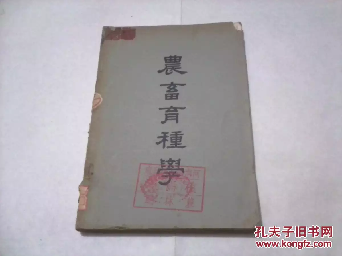 3、年十一月七號出生:年十一月七號猴是什麼命運