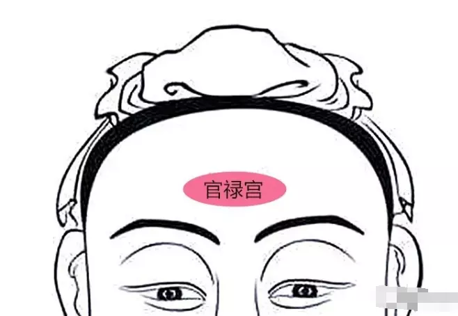 2、事業運看哪裡:如何看算命圖解