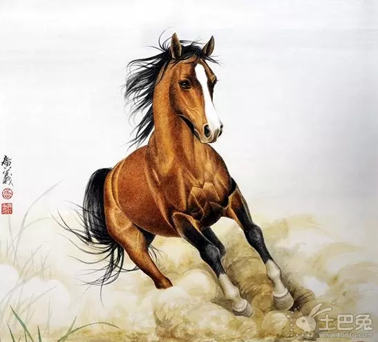 屬馬的子女什麼屬相比較好：屬馬的生什麼屬相的孩子好