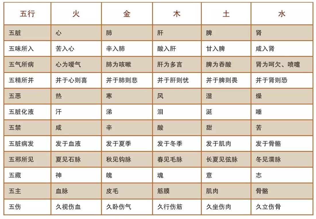 2、五臟五行順口溜:五臟六腑是如何相生相剋