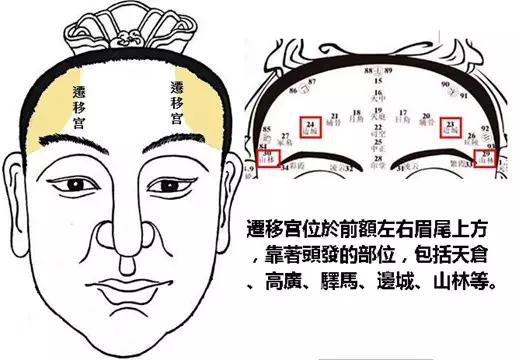 事業容易成功的女人：哪些的女人事業運出色，事業運出色的女人