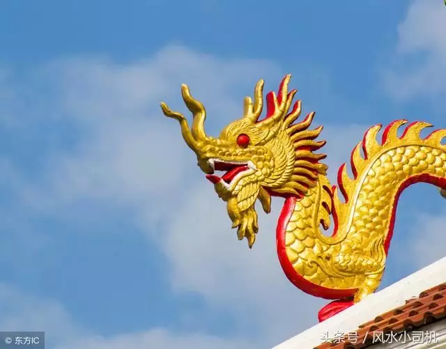 3、紅猴抱金雞婚配怎麼解:妻猴夫豬婚配若何化解