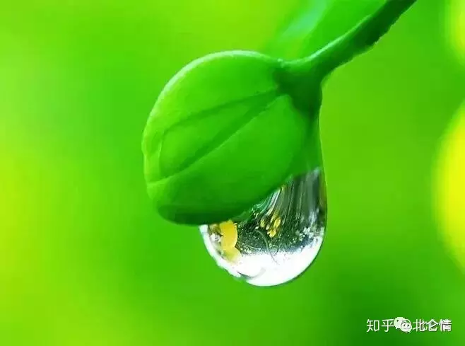 欲錢找苦奮甘來想榮華屬相：苦奮甘來想榮華，猜一生肖。