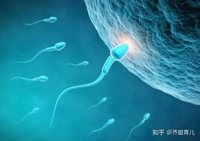 2、禁慾幾天y最活躍:禁慾多長時間