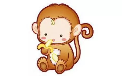 3、屬相婚配屬虎的和什麼屬相最配:屬虎的和什麼屬相最配
