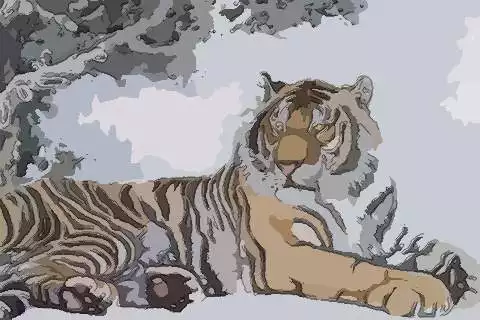 年屬相是什麼：是屬什麼