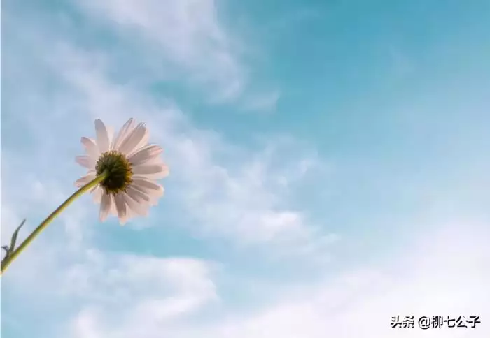 2、婚姻天註定半點不由人:萬般皆是命，半點不由人。什麼意思？