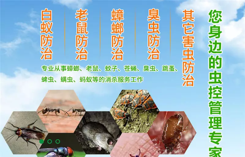 6、四害是哪四害:中的“滅四害”是哪四害？