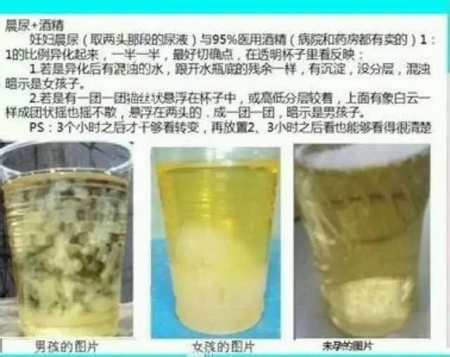 酒精準確測試男孩女孩：酒精測男女比例多少
