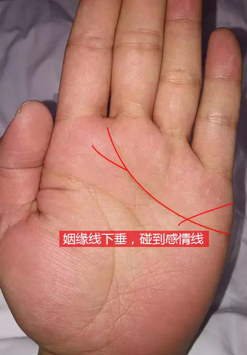 3、算命最準的免費網站婚姻線:算命最準的免費網站是中華命理風水網嗎？
