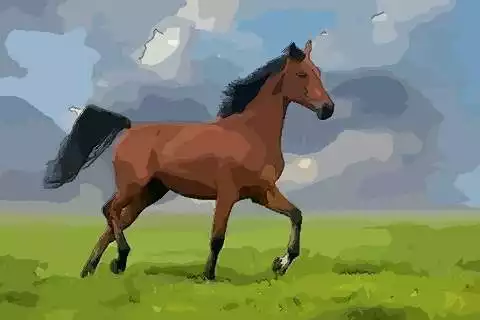 屬馬的找什麼屬相的好：屬馬配什麼屬相最好