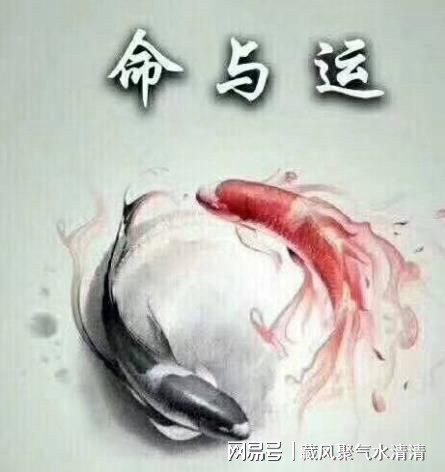 1、流年運勢算命:求算命 看看我的運勢