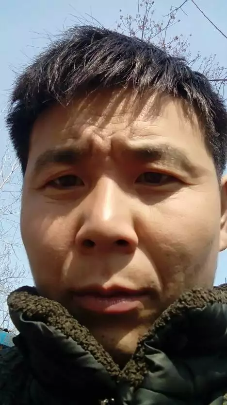 的鼠和的豬：83年的豬和84年的鼠