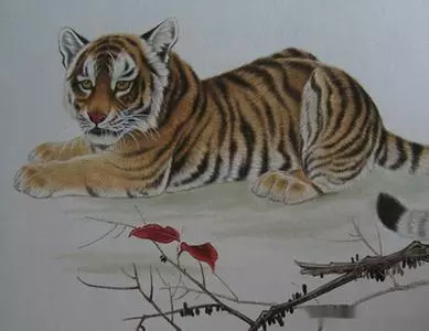 2、年屬虎的虛歲今年多大:屬虎的人年可能會是多大年齡？