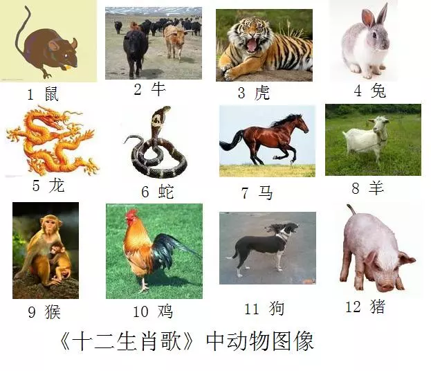 十二屬相內里怎麼排列：十二生肖的排列順序是怎麼定的？