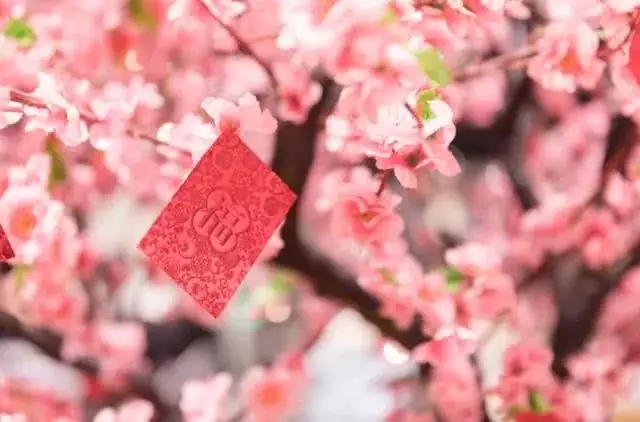1、桃花劫年齡表圖片:桃花劫的年齡是虛歲還是周歲桃花劫的年齡是虛歲還是周歲