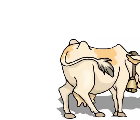 年牛年是什麼年：年屬牛什麼命