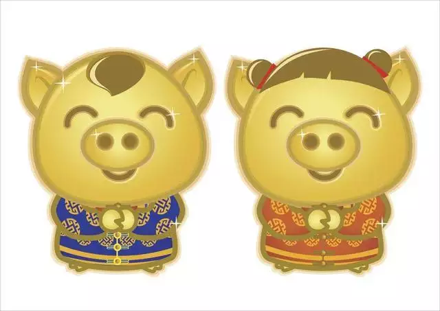 年屬豬的是什麼命：95年屬豬的五行是什麼，是什麼命