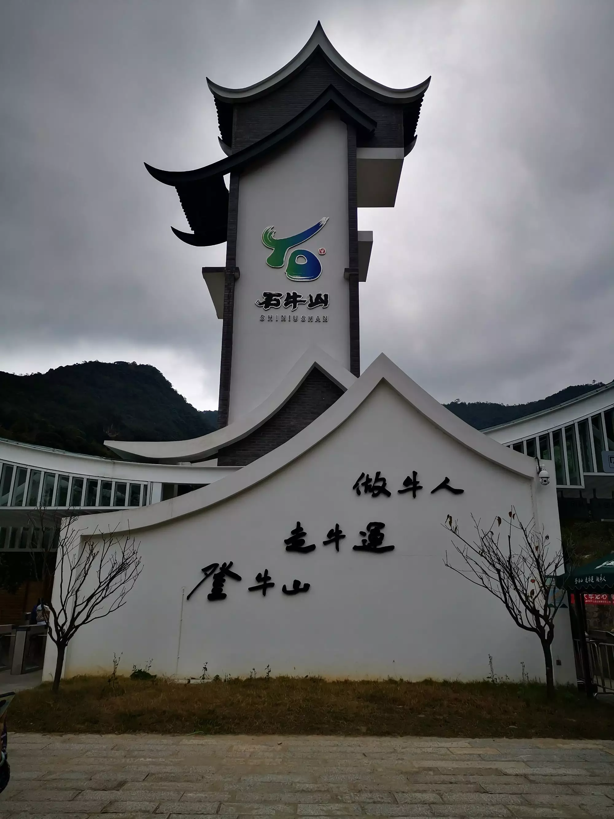 屬相牛頭和牛尾哪個好：買牛頭牛尾猜生肖或数字