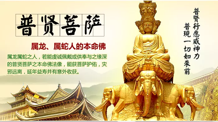 3、屬龍人婚配屬蛇人:我妻子屬龍64年生人,我屬蛇65年生人,我倆在一起好嗎?