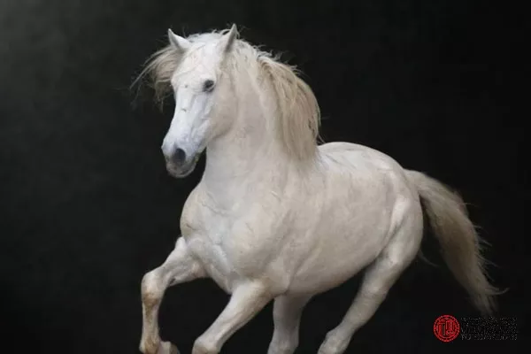 4、馬配蛇屬幾等婚:屬馬的和什麼屬相最配婚